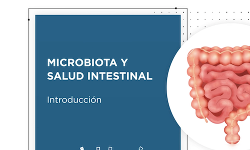 Microbiota y Salud Intestinal
